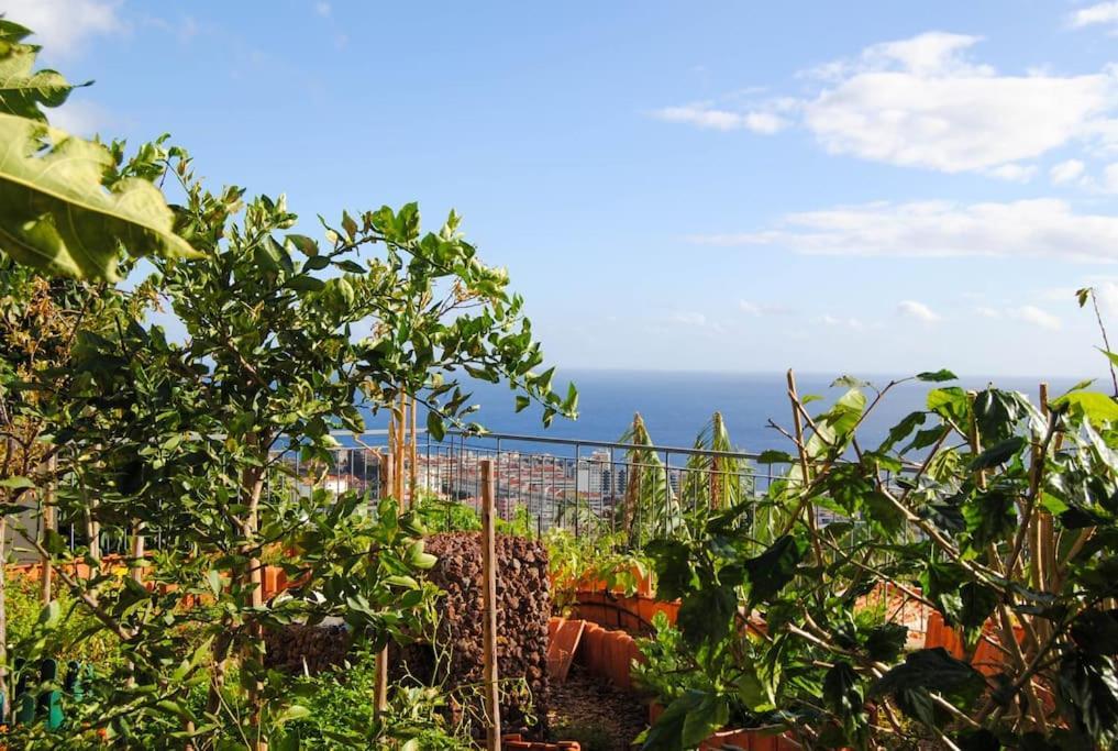 Jolie Maison Vue Sur L'Ocean Villa Funchal  Exterior photo